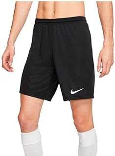 mens Dry Park III Shorts