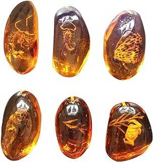 VORCOOL 5pcs Amber Fossil with Insects Samples Stones Crystal Specimens Home Decorations Collection Oval Pendant (Random Pattern)