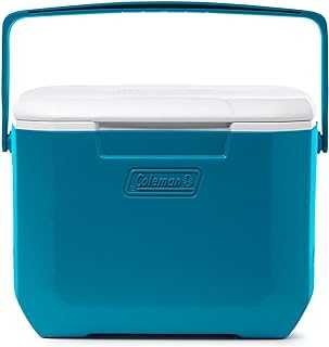 Cooler—Chiller 16 Quart Portable Cooler