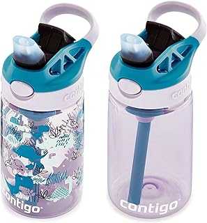 Kids Straw Water Bottle with AUTOSPOUT Lid, 14oz., 2 Pack, Eggplant & Dinos