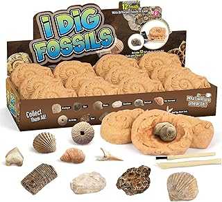 Byncceh Fossil Dig Kit - Educational STEM Science Toys for Kids Ages 6+ - Dig Up 12 Fossils Real & Dinosaur Bones Rocks - Digging Activities Kits - Paleontology, Discovery Gifts for Boys & Girls