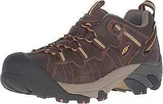 Men's Targhee 2 Low Height Waterproof Hiking Shoes, Cascade Brown/Golden Yellow, 10.5 Wide