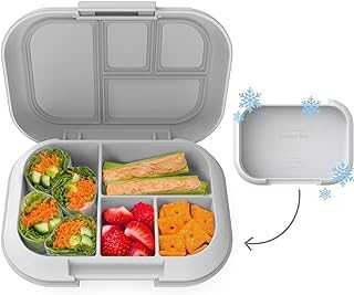 Kids Chill Leak-Proof Lunch Box - Included Reusable Ice Pack Keeps Food Cold; 4-Compartment Bento Lunch Container; Microwave & Dishwasher Safe; 2 Year Manufacturer Warranty (Gray)