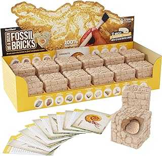 Dig a Dozen Fossil Bricks - Break Open 12 Bricks and Discover 12 Unique Real Fossils - Archaeology Science STEM Easter Gift